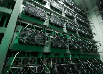 De la pocilga al penal: 14 años por convertir una granja porcina en una mina ilegal de Bitcoin