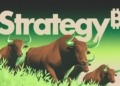Strategy frena la venta de acciones preferentes que desataron la fiebre del Bitcoin en abril