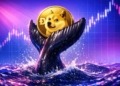 Las ballenas de Dogecoin se lanzan a la acumulación y suman 160 millones de DOGE en solo 96 horas