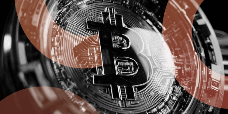 El inquietante futuro de Bitcoin y Ethereum: ¿Qué nos deparará el 'Q-Day' en 2030? 1 El inquietante futuro de Bitcoin y Ethereum: ¿Qué nos deparará el Q-Day en 2030?