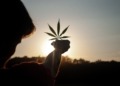 Una empresa de cannabis ofrece recompensas en Bitcoin, pero ¿es esta una jugada arriesgada que fomenta la adicción?