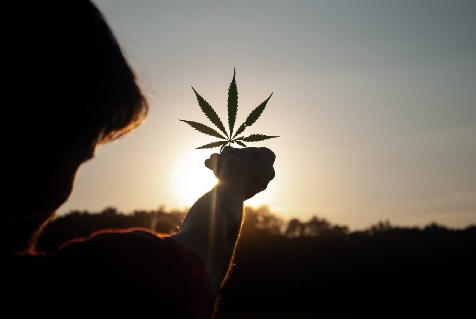 Una empresa de cannabis ofrece recompensas en Bitcoin, pero ¿es esta una jugada arriesgada que fomenta la adicción?