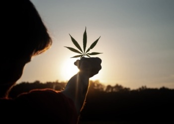 Una empresa de cannabis ofrece recompensas en Bitcoin, pero ¿es esta una jugada arriesgada que fomenta la adicción?