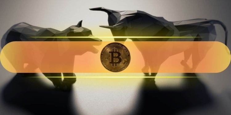 Bitcoin vuelve a brillar en los $80K mientras las altcoins disparan su valor. 1 Bitcoin vuelve a brillar en los $80K mientras las altcoins disparan su valor.