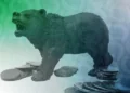 ¿Estamos ante un nuevo capítulo en el Mercado Bajista de Bitcoin? La visión de los analistas te sorprenderá.
