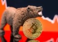 Descubre por qué el actual mercado bajista de Bitcoin es más tolerable que en el pasado.