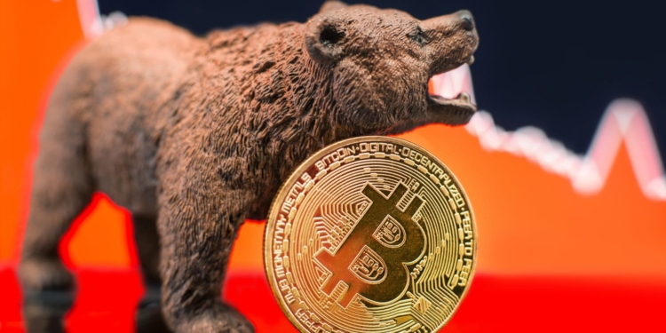Descubre por qué el actual mercado bajista de Bitcoin es más tolerable que en el pasado.