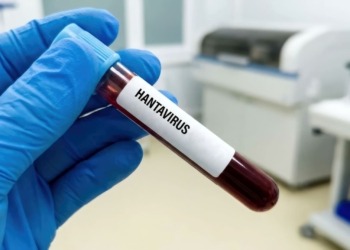 El hantavirus: ¿una nueva amenaza para la economía global?