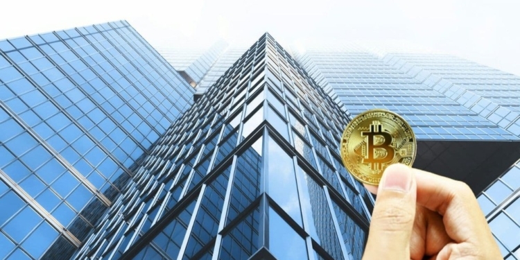 El auge de los ETF de Bitcoin atrae a grandes inversores mientras Abu Dhabi intensifica su estrategia financiera.
