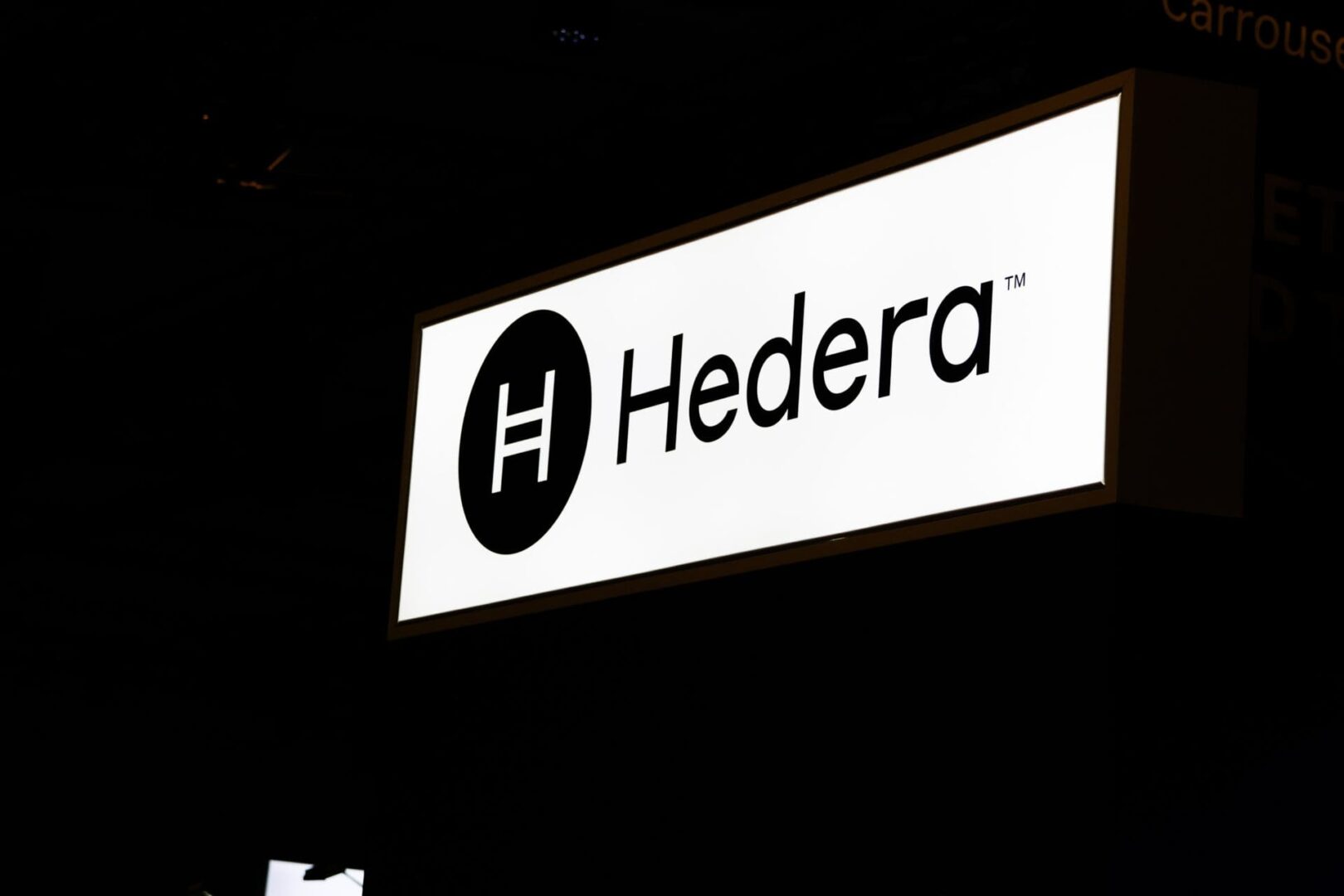 Hedera se impulsa con el interés de las instituciones: ¿Estamos ante un cambio de paradigma?