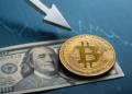 El desplome de Bitcoin: ¿puede el dólar seguir hundiéndolo?