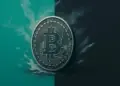 El futuro incierto de Bitcoin: ¿rebote inminente o desplome del 40% a la vista? 2 El futuro incierto de Bitcoin: ¿rebote inminente o desplome del 40% a la vista?