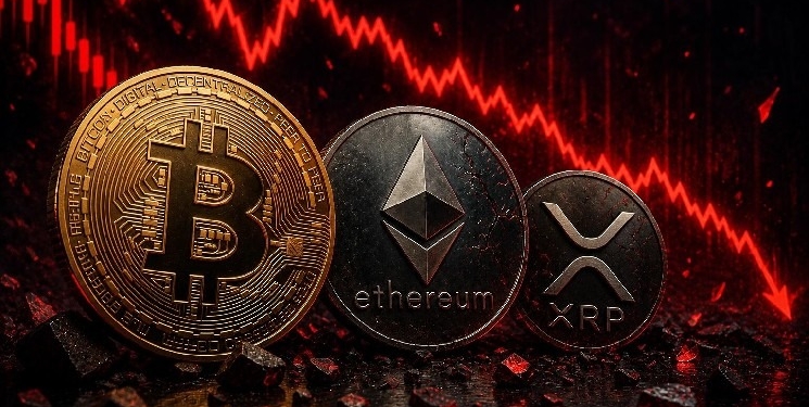 El impacto del colapso de la IA en Wall Street: ¿por qué caen Bitcoin, XRP y Ethereum?