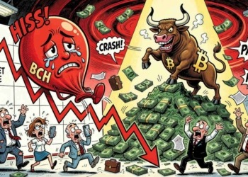 Bitcoin Cash se desploma a USD $209: ¿qué factores están detrás de esta caída? 4 Bitcoin Cash se desploma a USD $209: ¿qué factores están detrás de esta caída?