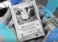 Las cartas de Pokémon en Solana arrasan en mayo con $230 millones gracias a las máquinas Gacha.