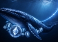 Las ballenas de Ethereum apuestan por el futuro mientras el precio se dispara.