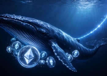 Las ballenas de Ethereum apuestan por el futuro mientras el precio se dispara.