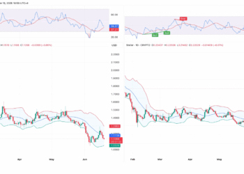 El sorprendente ascenso de Stellar y el estancamiento de XRP: ¿qué está detrás de este fenómeno?