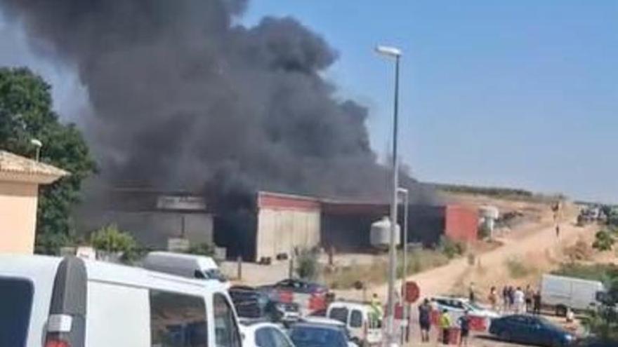 Impactante incendio arrasa instalaciones agrícolas en Solana de los Barros, Badajoz 1 Impactante incendio arrasa instalaciones agrícolas en Solana de los Barros, Badajoz