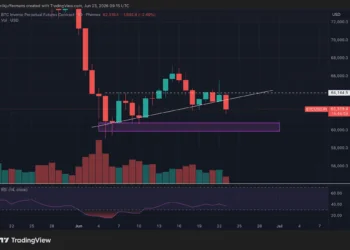 Bitcoin sufre una caída del 2,5%: ¿Qué predicciones hace el analista de Newsbit?