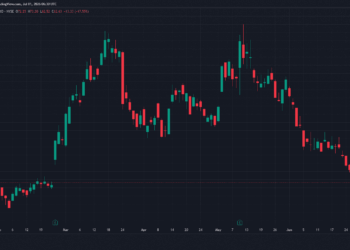Circle cae un 17% tras el lanzamiento de una nueva stablecoin respaldada por 140 empresas ¿Qué significa para el futuro del mercado?