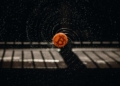 El resurgir de Bitcoin: ¿puede mantenerse por encima de los 63.000 dólares ante una demanda incierta?