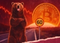 Bitcoin atraviesa el mercado bajista más robusto de su historia, según Bitwise.