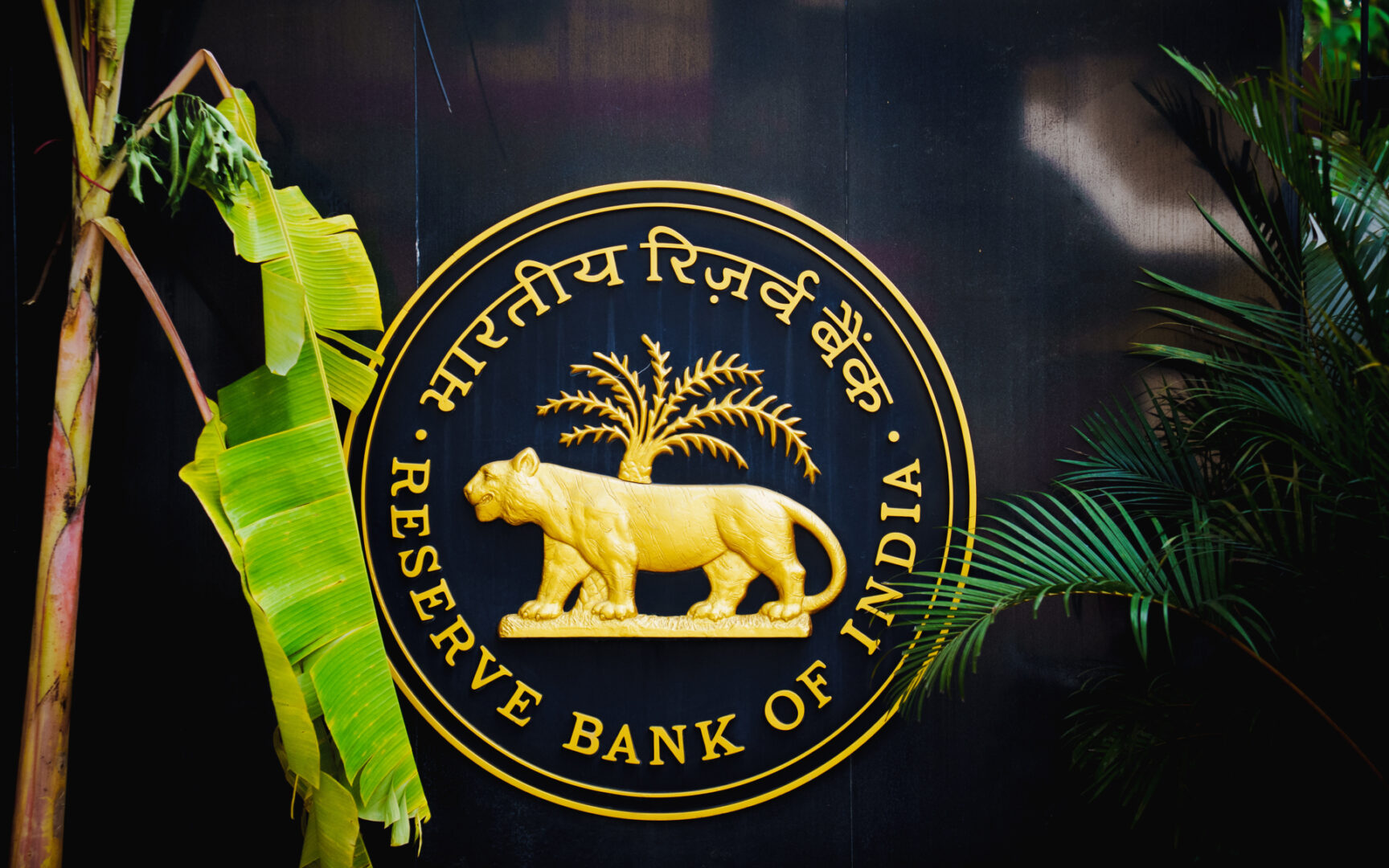 El Banco de la Reserva de la India intensifica su postura contra las criptomonedas.