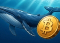 Descubre las sorprendentes maniobras de las ballenas de Bitcoin esta semana