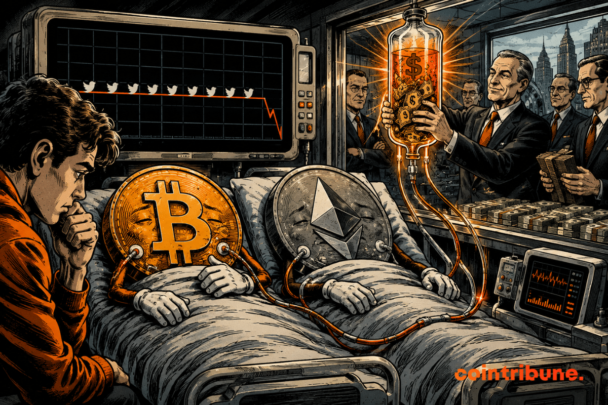Bitcoin y Ethereum alcanzan niveles de inactividad en X que no se veían desde hace un año 1 Bitcoin y Ethereum alcanzan niveles de inactividad en X que no se veían desde hace un año