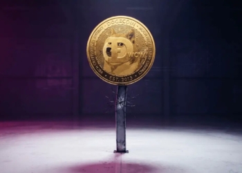 Mark Yusko cuestiona la locura de las valoraciones de Dogecoin y SpaceX: ¿realmente tienen fundamento? 8 Mark Yusko cuestiona la locura de las valoraciones de Dogecoin y SpaceX: ¿realmente tienen fundamento?