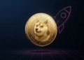 ¿Dogecoin a la baja? La duda sobre el futuro de Musk y su criptomoneda