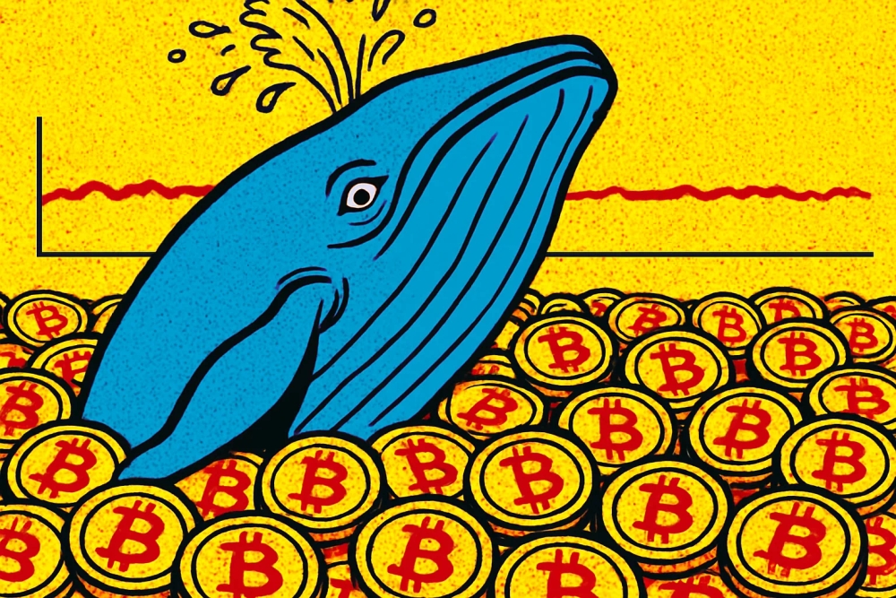 Una ballena sorprende al recomprar 290 millones en Bitcoin en medio de un mercado lateral 1 Una ballena sorprende al recomprar 290 millones en Bitcoin en medio de un mercado lateral