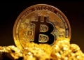 La montaña rusa del bitcoin: ¿puede el apoyo institucional evitar la caída?