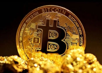 La montaña rusa del bitcoin: ¿puede el apoyo institucional evitar la caída?