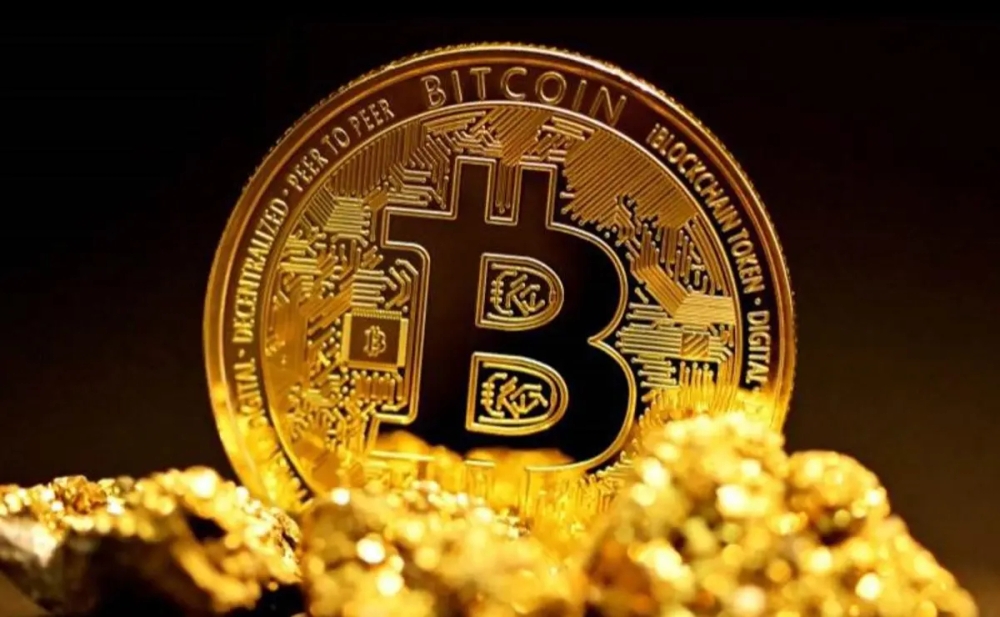 La montaña rusa del bitcoin: ¿puede el apoyo institucional evitar la caída? 1 La montaña rusa del bitcoin: ¿puede el apoyo institucional evitar la caída?