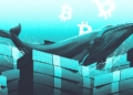 ¿Podría el precio de Bitcoin cambiar en agosto de 2026? Las ballenas desafían una racha de pérdidas de 4 años. 10 ¿Podría el precio de Bitcoin cambiar en agosto de 2026? Las ballenas desafían una racha de pérdidas de 4 años.