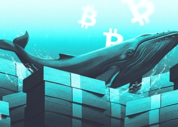 ¿Podría el precio de Bitcoin cambiar en agosto de 2026? Las ballenas desafían una racha de pérdidas de 4 años. 4 ¿Podría el precio de Bitcoin cambiar en agosto de 2026? Las ballenas desafían una racha de pérdidas de 4 años.