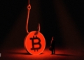Alerta de seguridad: ¿Podría tu billetera Bitcoin estar en peligro tras el hackeo de Coldcard? 2 Alerta de seguridad: ¿Podría tu billetera Bitcoin estar en peligro tras el hackeo de Coldcard?