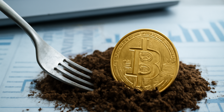 Bitcoin entierra el hard fork BIP-110: ¿Nace una nueva criptomoneda el 1 de septiembre?