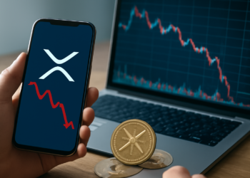 XRP se desploma un 93% en inversiones institucionales: ¿han encontrado las ballenas el momento perfecto para entrar?