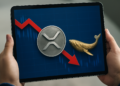 XRP se desploma un 93% en inversiones institucionales, pero las ballenas ven una oportunidad dorada.