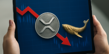 XRP se desploma un 93% en inversiones institucionales, pero las ballenas ven una oportunidad dorada.