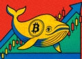 Las Ballenas de Bitcoin Acumulan Activos Durante 5 Días Mientras BTC Lucha por su Canal Crítico