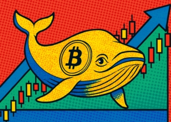 Las Ballenas de Bitcoin Acumulan Activos Durante 5 Días Mientras BTC Lucha por su Canal Crítico