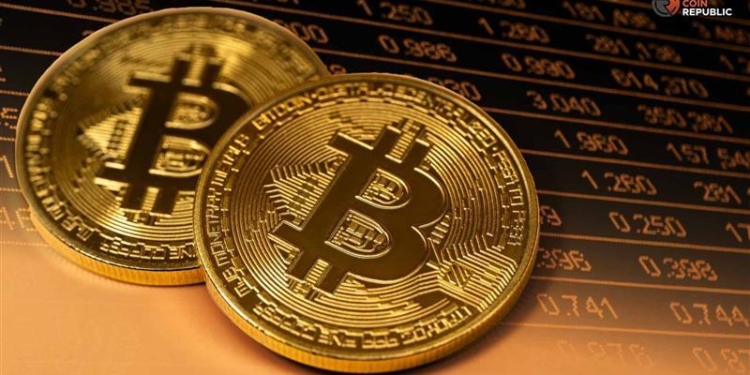 Seis firmas de análisis de criptomonedas revelan señales que sugieren que el bitcoin ha alcanzado su mínimo histórico.