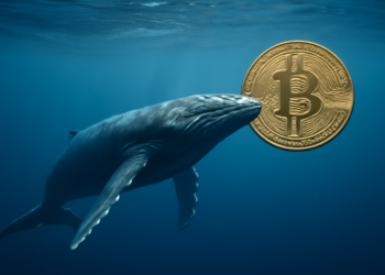 ¿Estamos ante el ocaso del mercado bajista de criptomonedas? Las grandes ballenas parecen creerlo. 4 ¿Estamos ante el ocaso del mercado bajista de criptomonedas? Las grandes ballenas parecen creerlo.