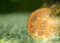 Tom Lee advierte: ¿Por qué Bitcoin está más expuesto al riesgo cuántico que Ethereum y Solana?