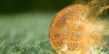 Tom Lee advierte: ¿Por qué Bitcoin está más expuesto al riesgo cuántico que Ethereum y Solana?