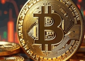 Las ballenas compran Bitcoin, pero ¿qué frena su ascenso?